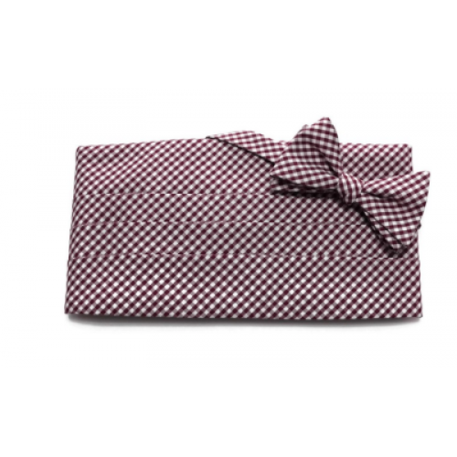 Gingham Check Cummerbund and Tie